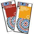 Combo Pack: Choices in Contraception & Sexually Transmitted Infections - Aboriginal Pamphlets (Pack of 20 each)