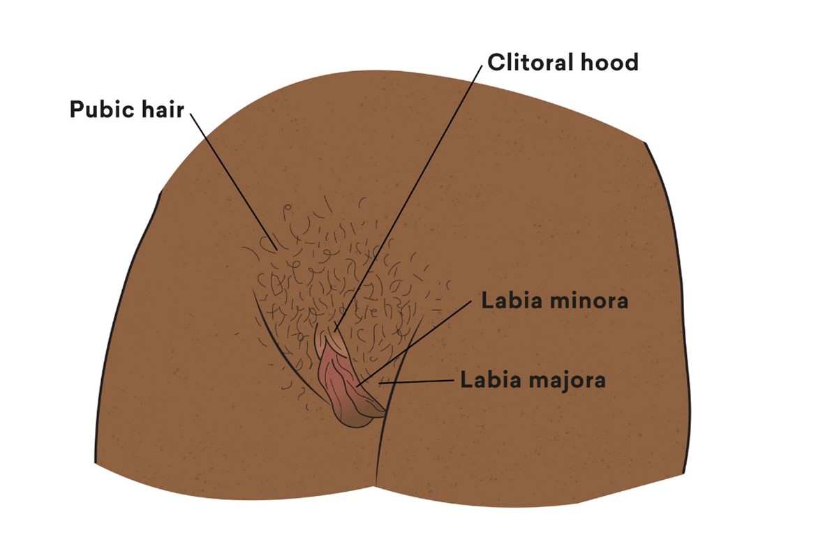 Different Labia