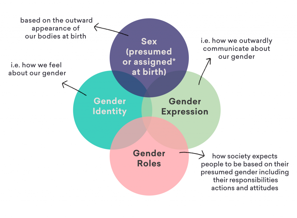 Gender And Sexual Diversity 101 Shine Sa