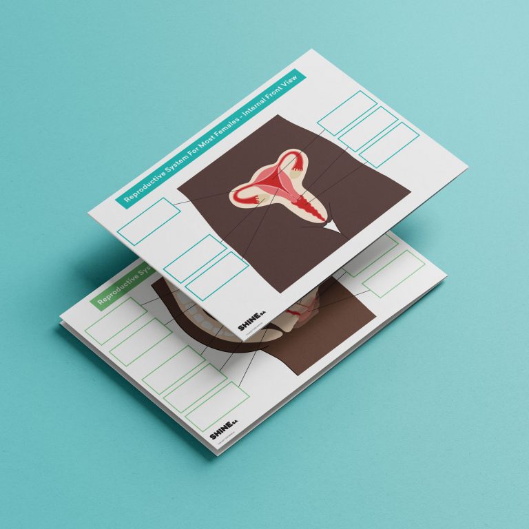 Reproductive-Systems-Board_Image