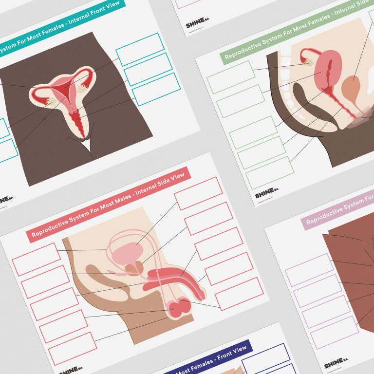 Reproductive-Systems-Boards