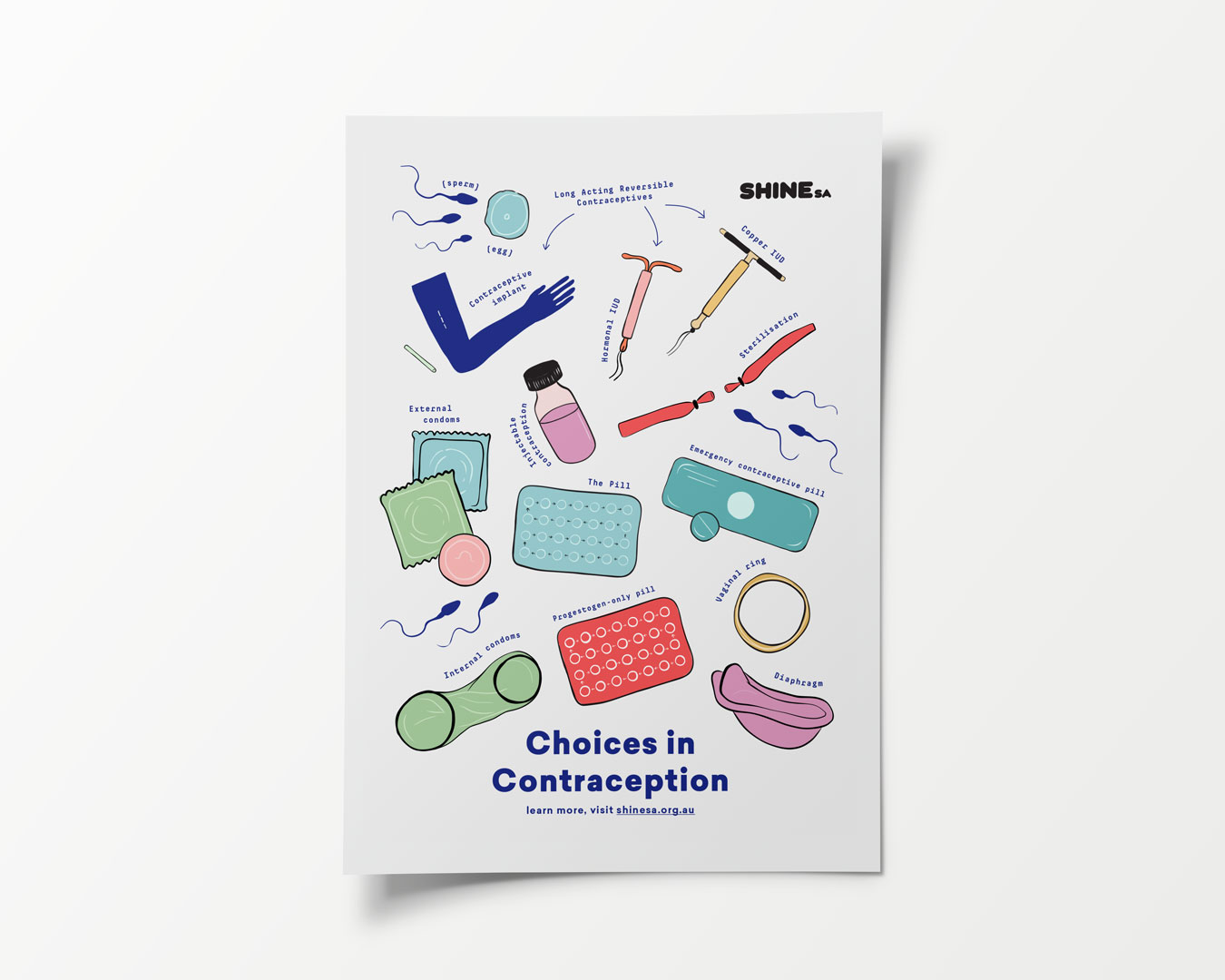 Choices-In-Contraception-Poster